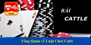 Tổng Quan về Luật Chơi Catte