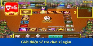 Giới thiệu về trò chơi xí ngầu