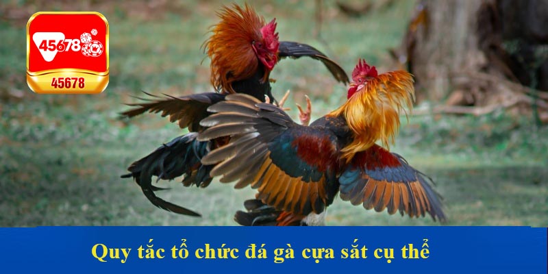Quy tắc tổ chức đá gà cựa sắt cụ thể