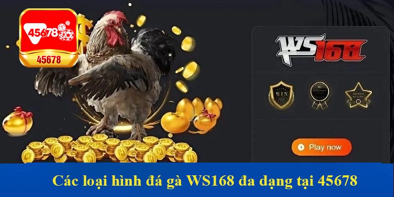 Các loại hình đá gà WS168 đa dạng tại 45678
