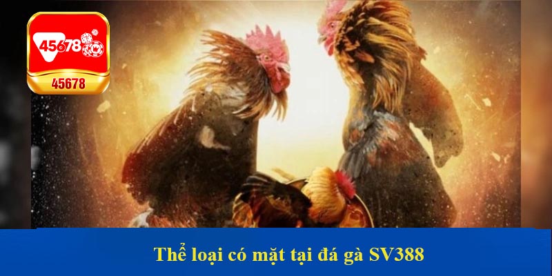 Thể loại có mặt tại đá gà SV388