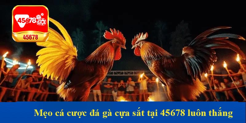 Mẹo cá cược đá gà cựa sắt tại 45678 luôn thắng đậm từ chuyên gia