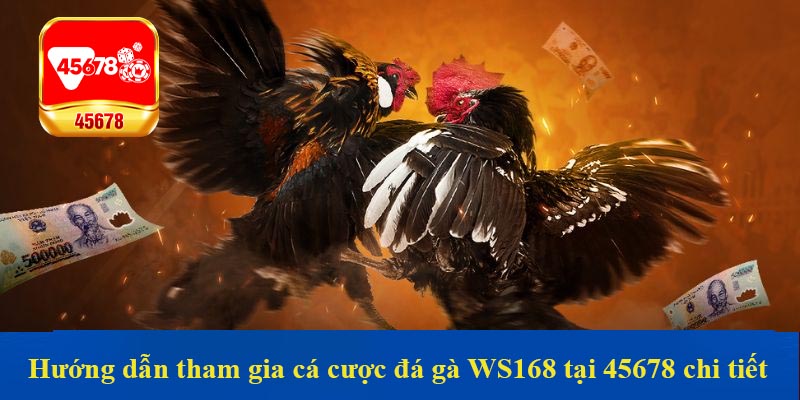 Hướng dẫn tham gia cá cược đá gà WS168 tại 45678 chi tiết