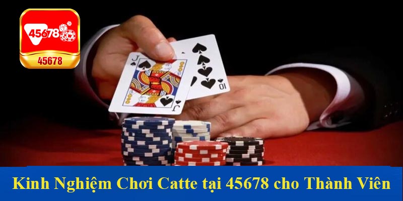 Kinh Nghiệm Chơi Catte tại 45678 cho Thành Viên